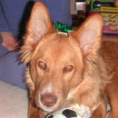 Edgar was adopted in October, 2004